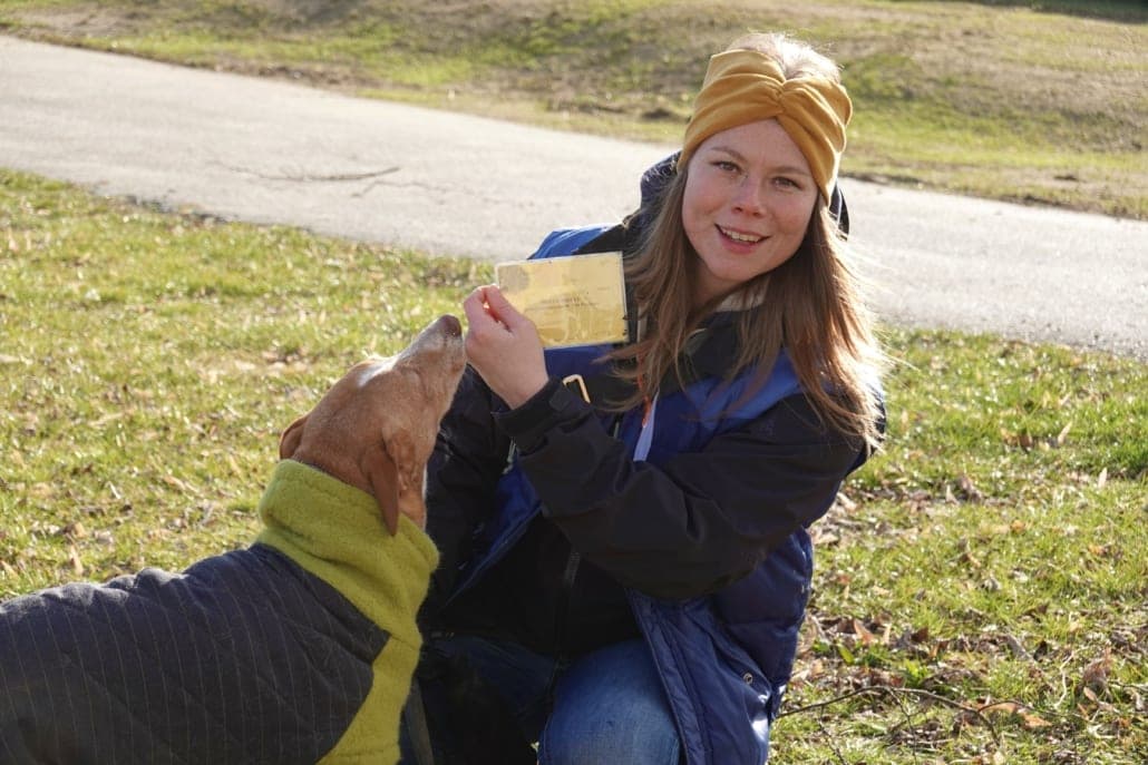 Gruppenkurs der Hundeschule Willenskraft — Mensch-Hund-Teams im Training